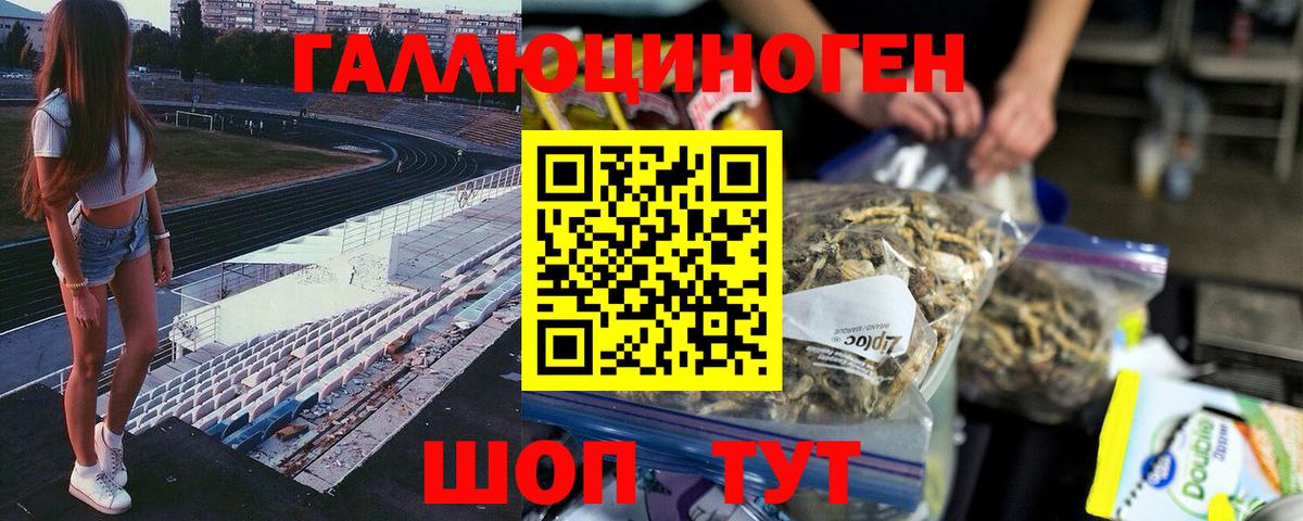 Псилоцибиновые грибы Cubensis Торжок